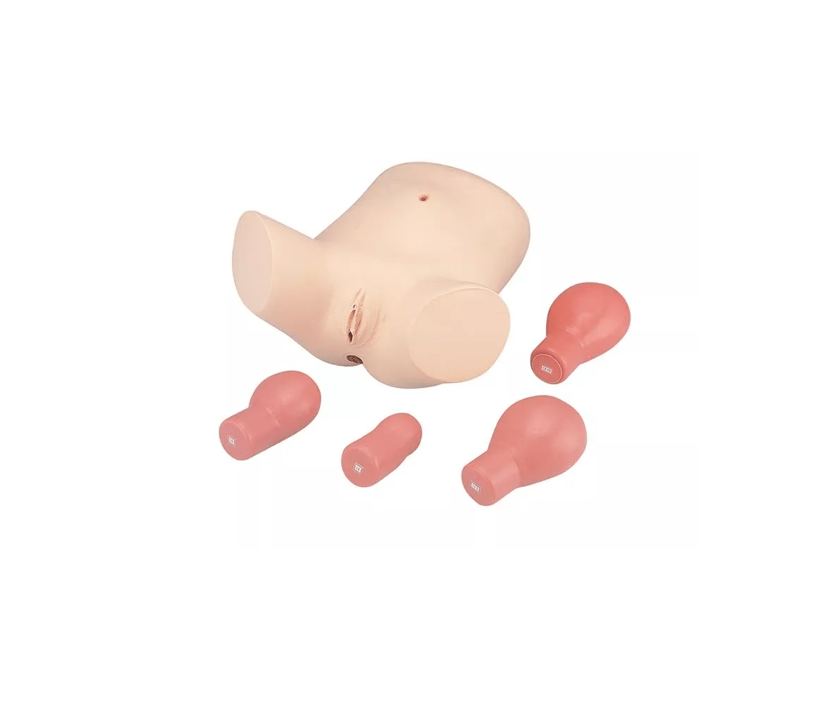 Nachgeburtliches Untersuchungs - und Pflegemodell - Erler - Zimmer